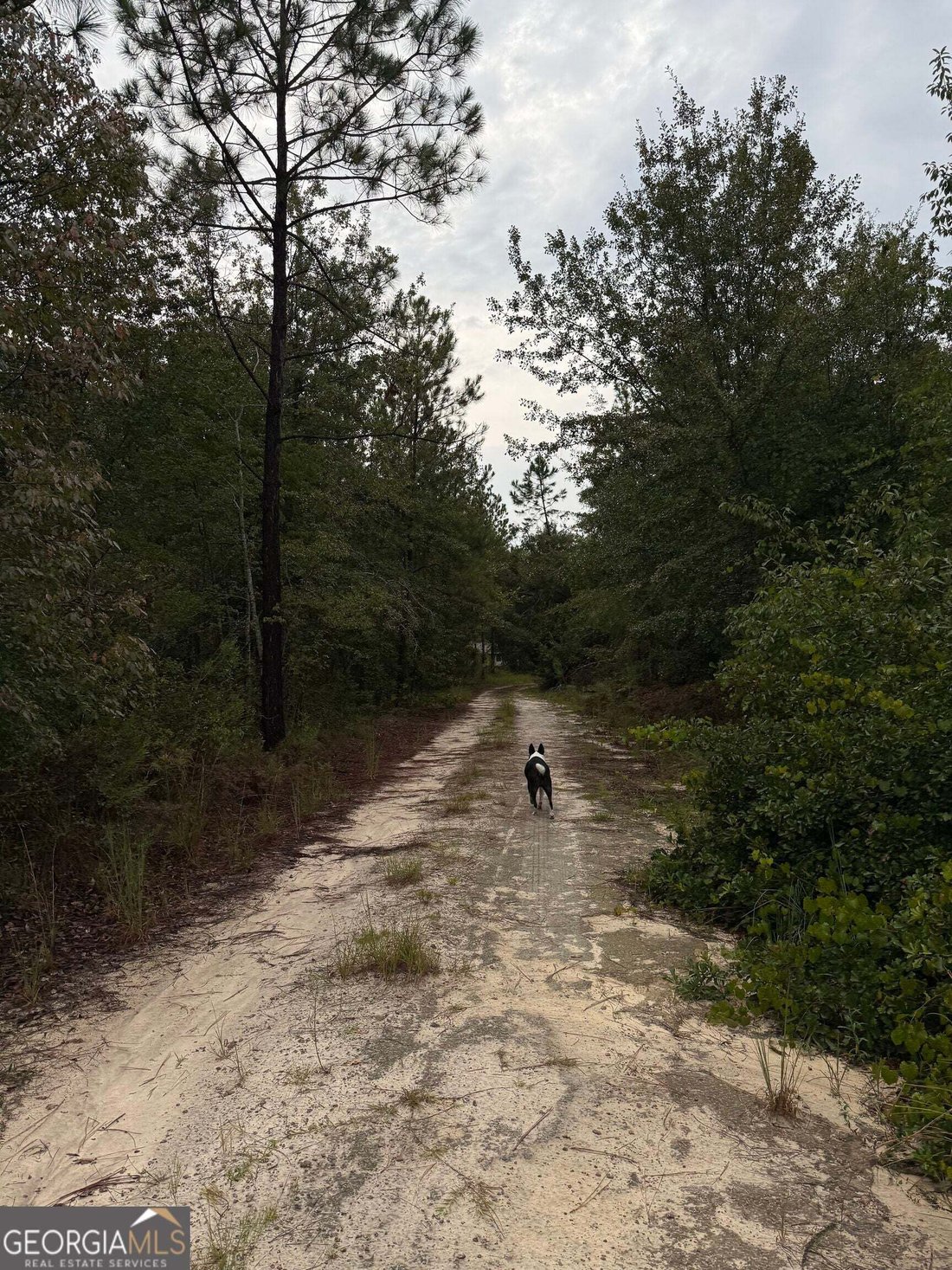 Hazlehurst, Georgia, United States 4 - 18669305
