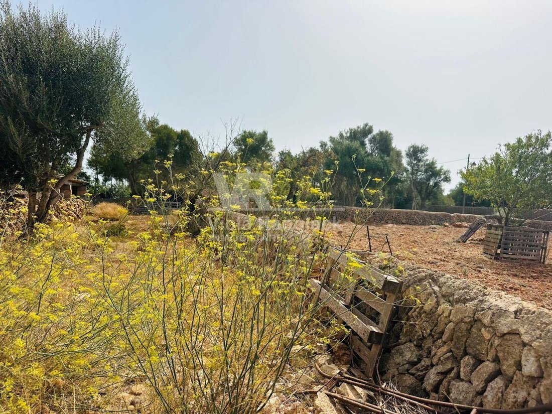 Land in Santanyi, Balearic Islands, Spain 5 - 18667785