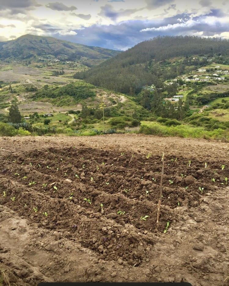 Land in Quito, Pichincha, Ecuador 1 - 18661499
