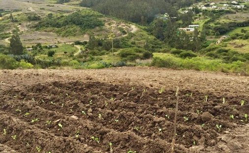 Terreno en Quito, Pichincha, Ecuador 1