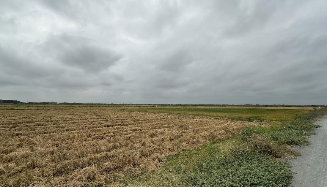 Land in Elvira, Guayas, Ecuador 5 - 18659968