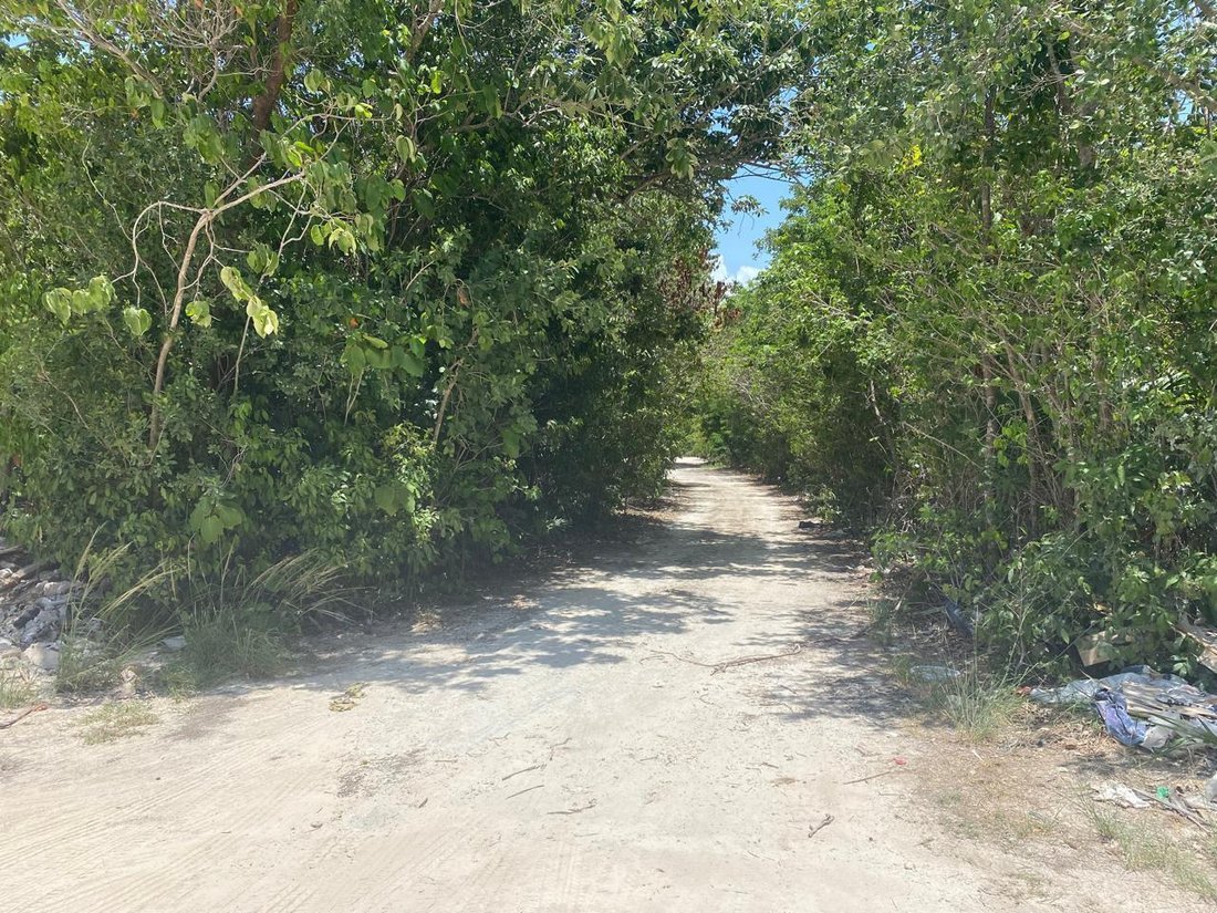 Land in Cancún, Quintana Roo, Mexico 4 - 18660135