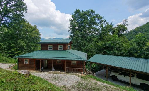Maison à Topton, Caroline du Nord, États-Unis 1