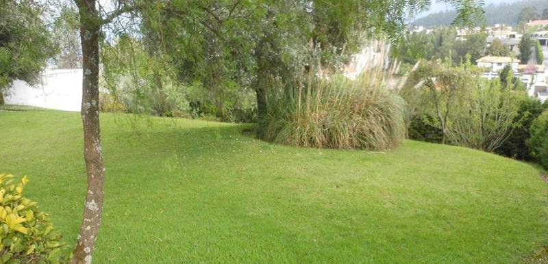Land in Quito, Pichincha, Ecuador 5 - 18661384