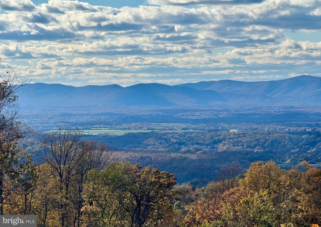 House in Linden, Virginia, United States 2 - 18669017