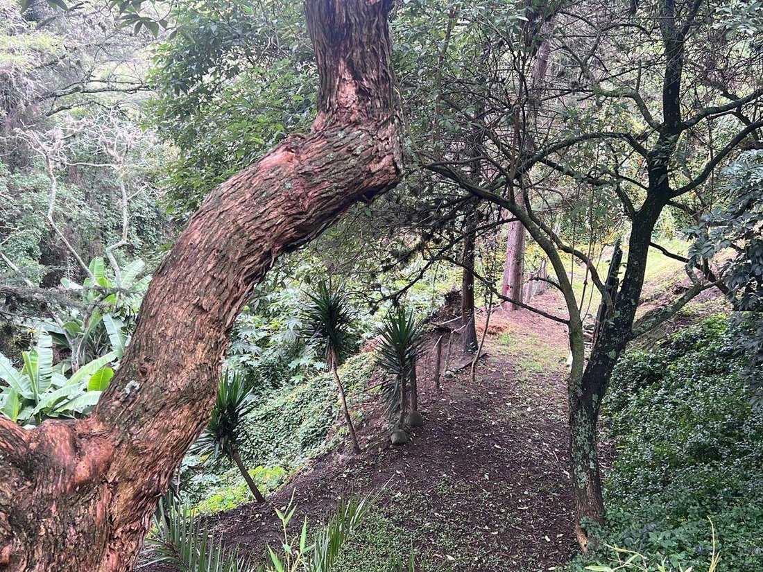 Land in Quito, Pichincha, Ecuador 3 - 18661630