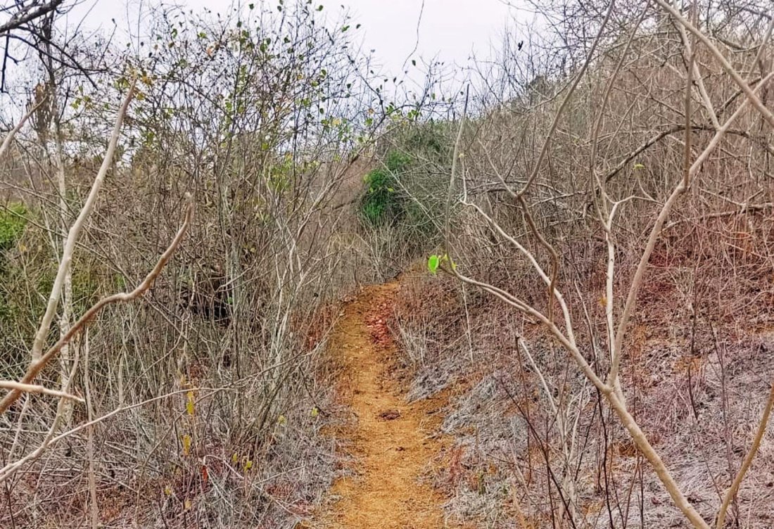 Land in Santa Elena, Santa Elena, Ecuador 5 - 18661482
