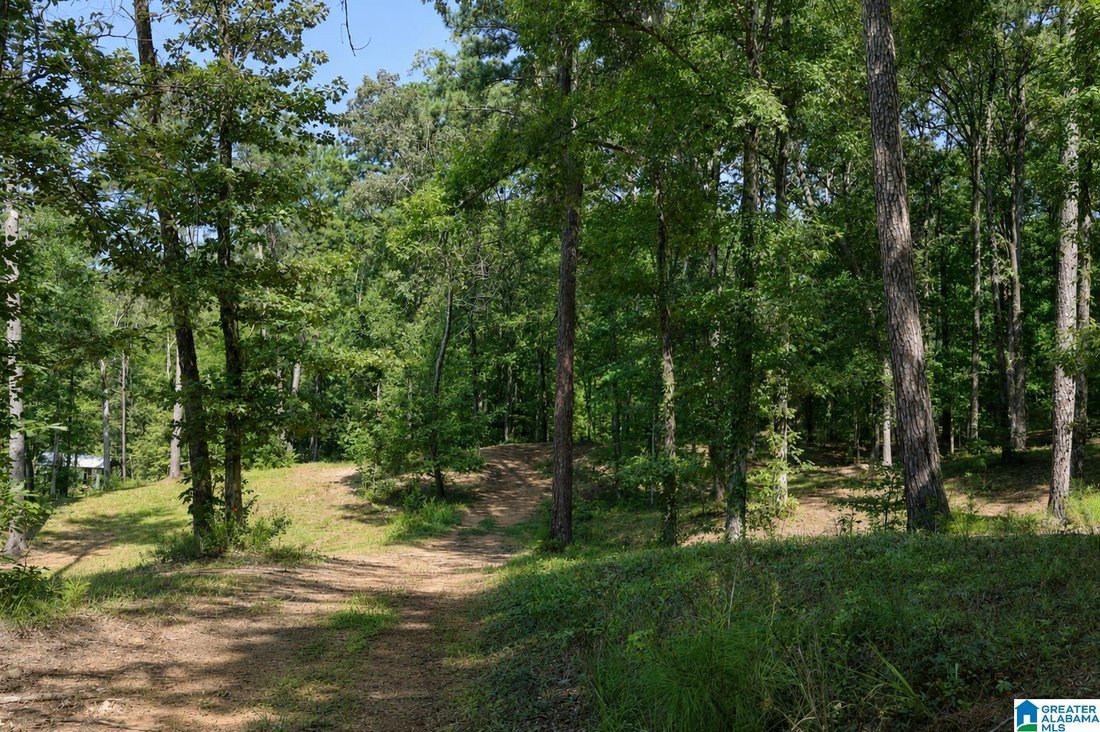 House in Shelby, Alabama, United States 3 - 18656585