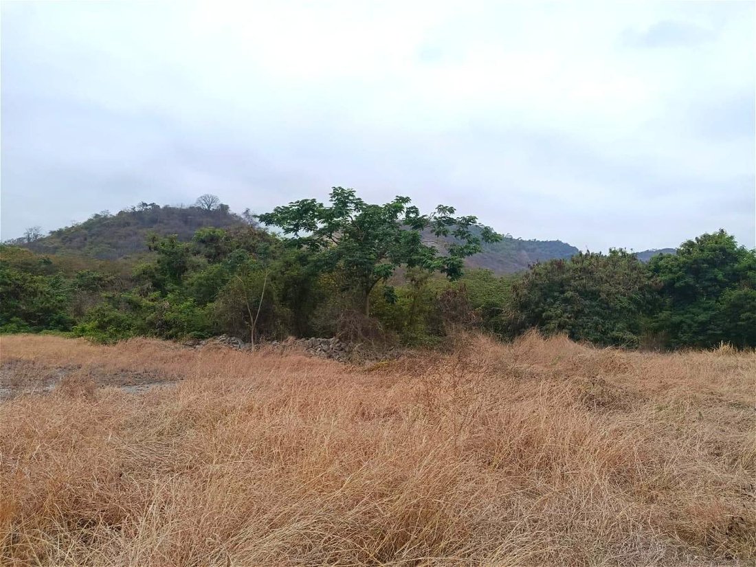 Land in Guayaquil, Guayas, Ecuador 2 - 18660158