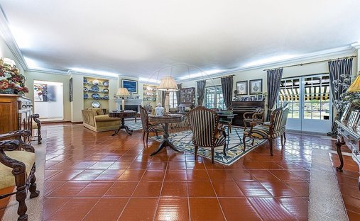 Farm Ranch in Santo Estevao, Santarem District, Portugal 1