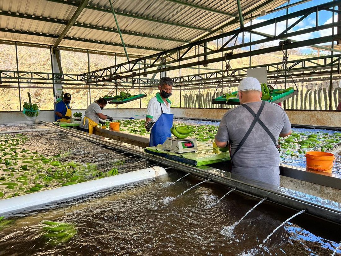 Farm Ranch in Chanduy, Santa Elena, Ecuador 5 - 18661305