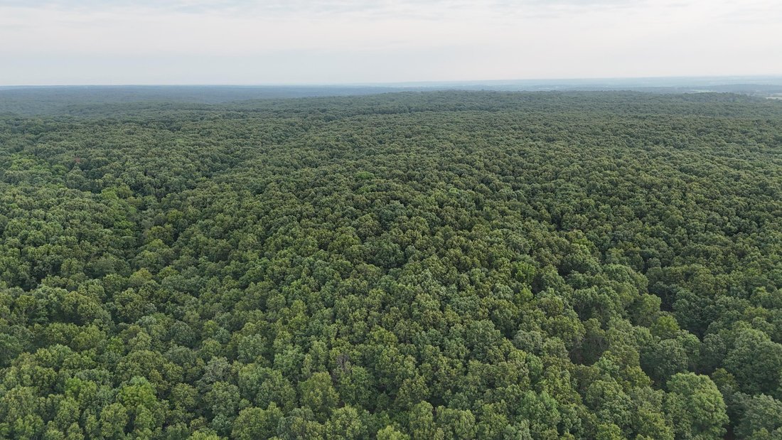Land in Mount Vernon, Missouri, United States 4 - 18663320