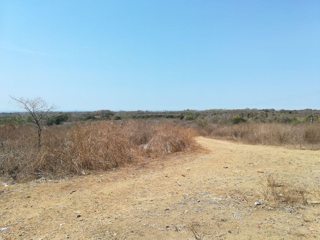 Land in Las Tinajas, Guerrero, Mexico 1 - 18660042