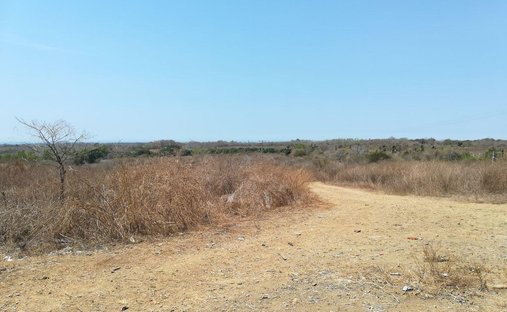 Land in Las Tinajas, Guerrero, Mexico 1