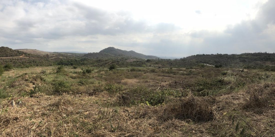 Land in Guayaquil, Guayas, Ecuador 1 - 18660319