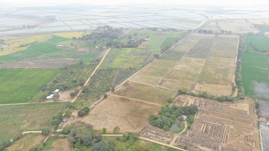 Farm Ranch in Taura, Guayas, Ecuador 4 - 18660338