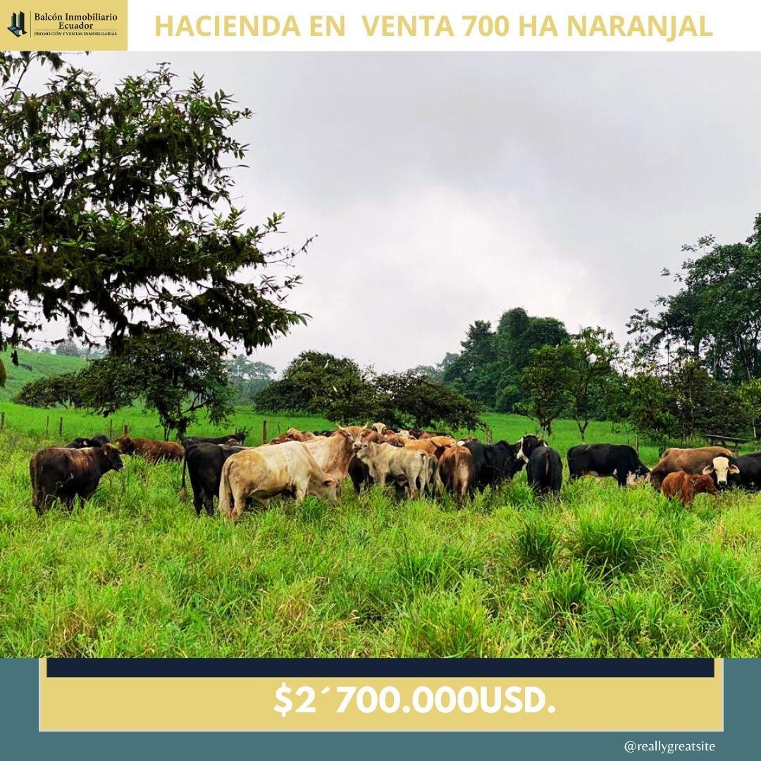 Farm Ranch in Naranjal, Guayas, Ecuador 5 - 18661461