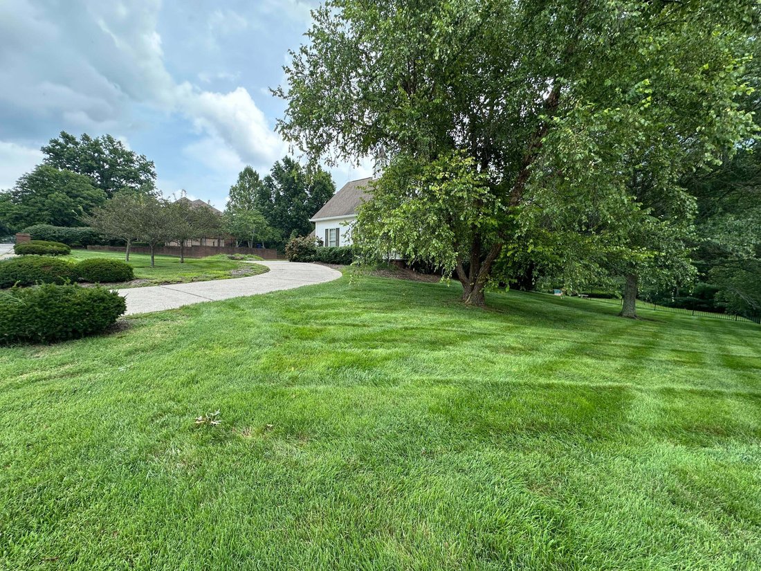 House in Winchester, Kentucky, United States 5 - 18661804