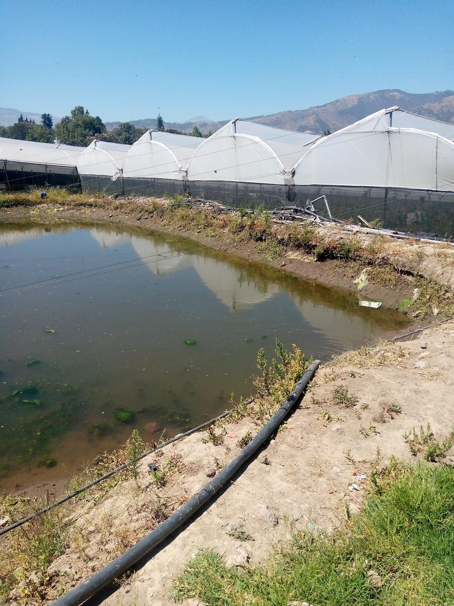 Land in Quito, Pichincha, Ecuador 3 - 18661496