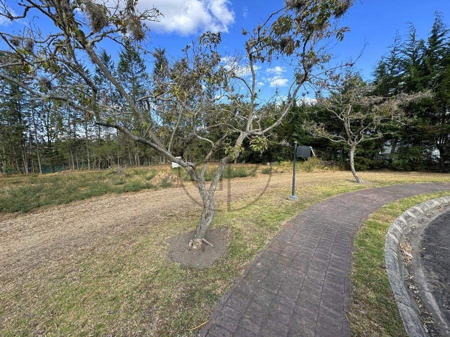 Land in Quito, Pichincha, Ecuador 4 - 18661156
