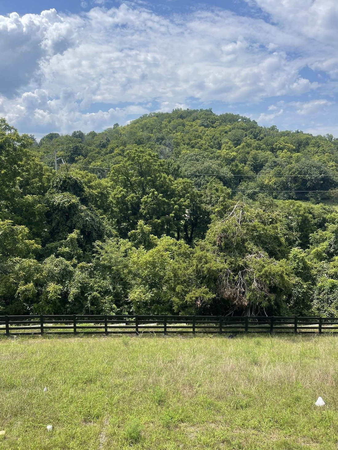 House in Franklin, Tennessee, United States 4 - 18663794