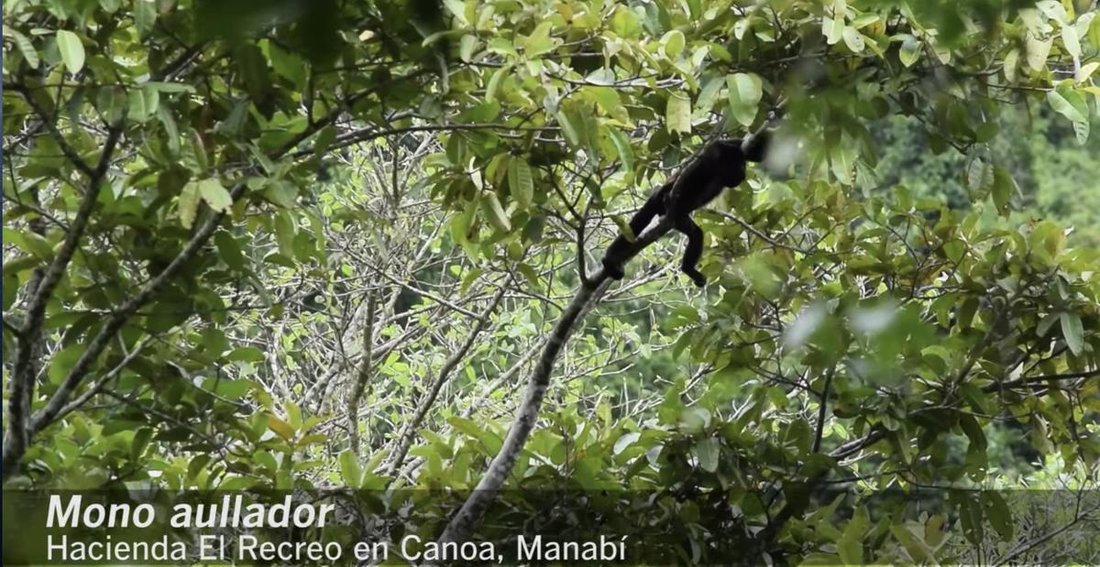 Land in San Vicente, Manabí, Ecuador 2 - 18660284