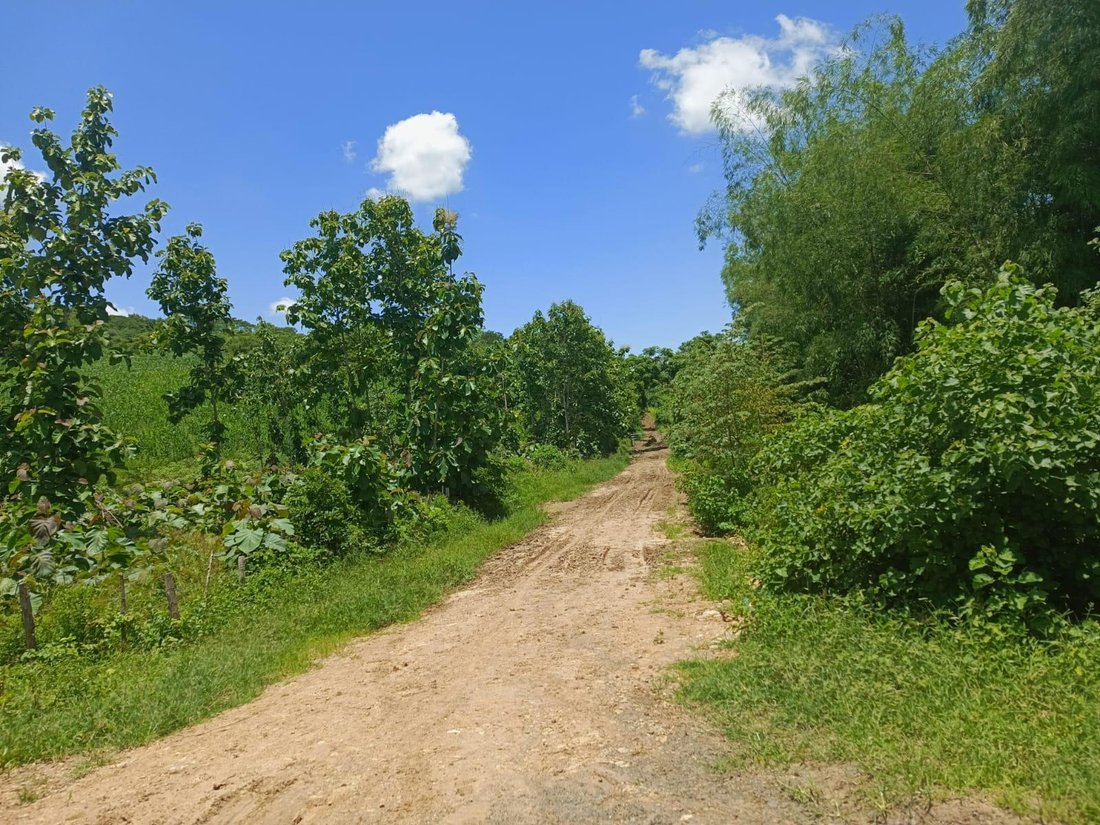 Land in Chone, Manabí, Ecuador 1 - 18661415
