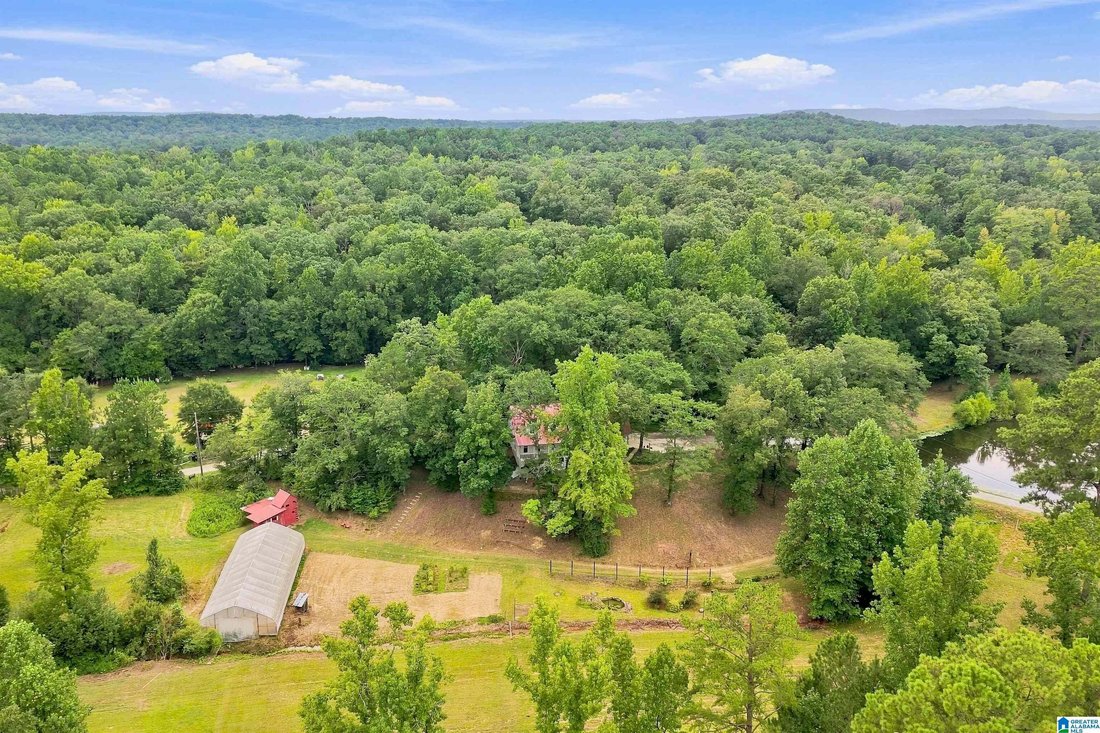 House in Chelsea, Alabama, United States 1 - 18666221