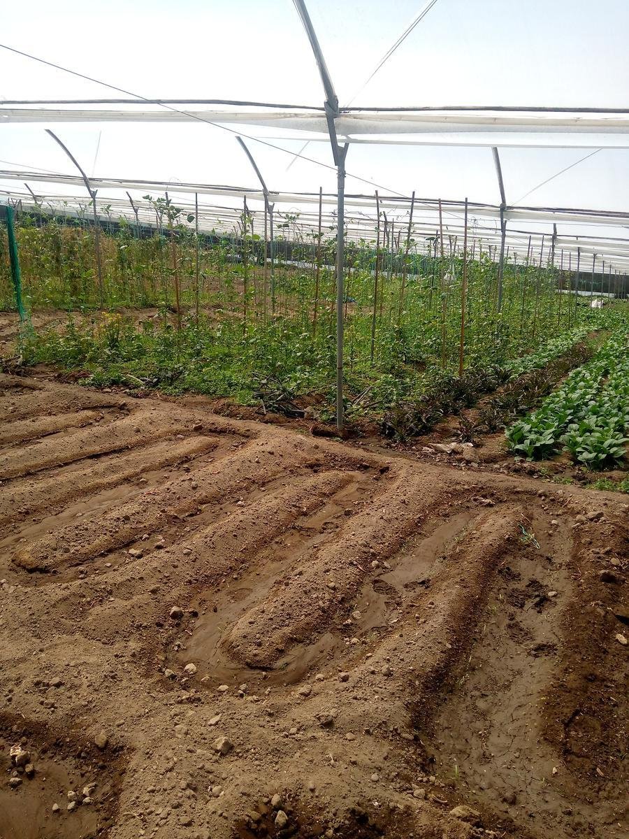 Land in Quito, Pichincha, Ecuador 2 - 18661496
