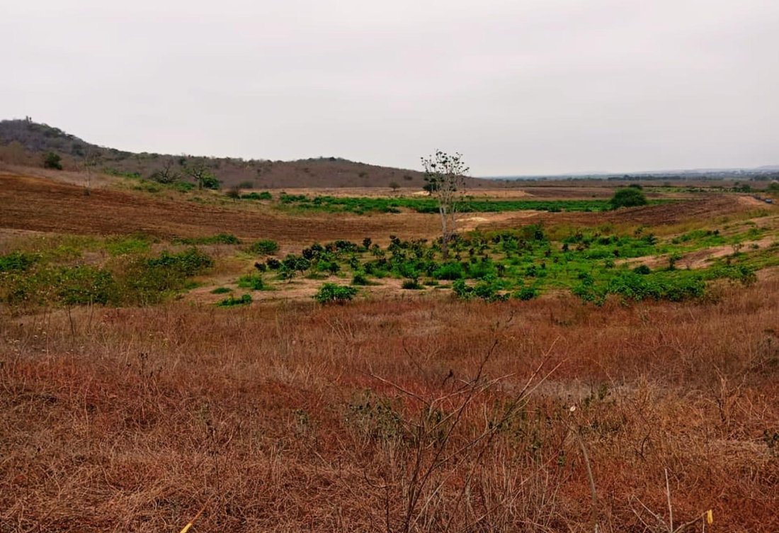 Land in Santa Elena, Santa Elena, Ecuador 2 - 18661482