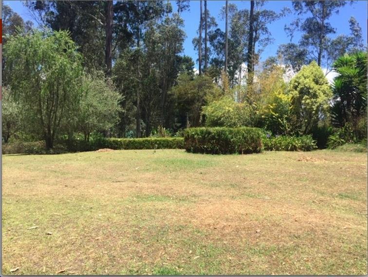 Land in Quito, Pichincha, Ecuador 1 - 18661641