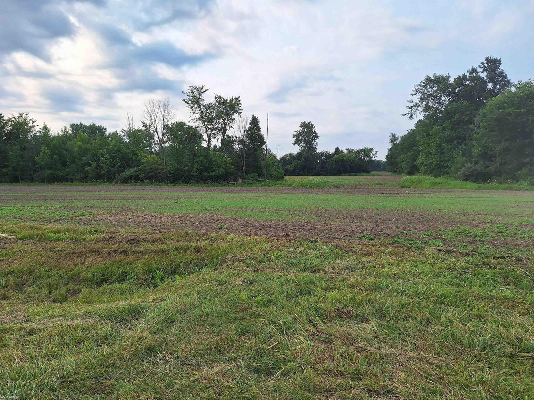 Land in Township of Clyde, Michigan, United States 2 - 18659793
