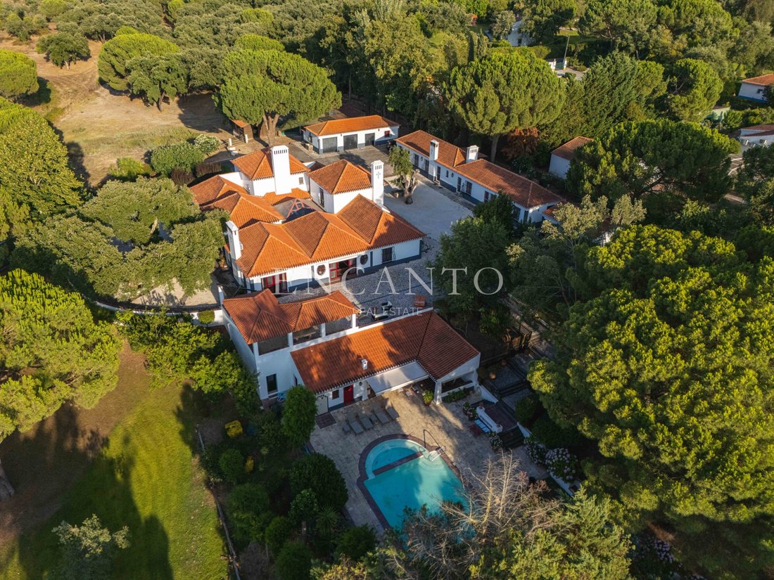 Finca in Santo Estevao, Santarem District, Portugal 2 - 18660917