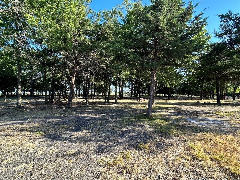 Farm Ranch in Wolfe City, Texas, United States 2 - 18664075