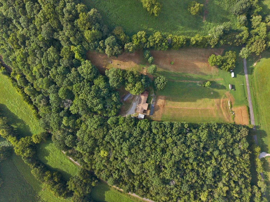 Pulaski, Tennessee, United States 5 - 18665863