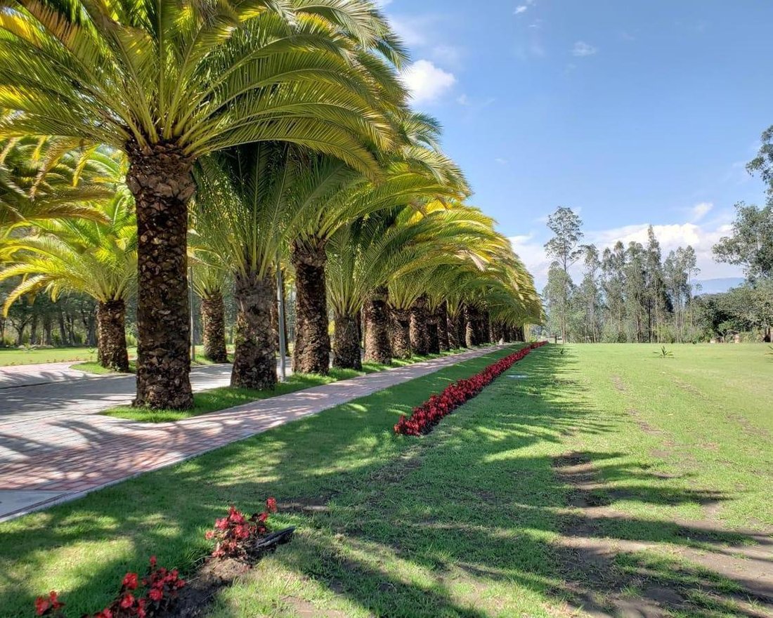 Land in Quito, Pichincha, Ecuador 3 - 18661647