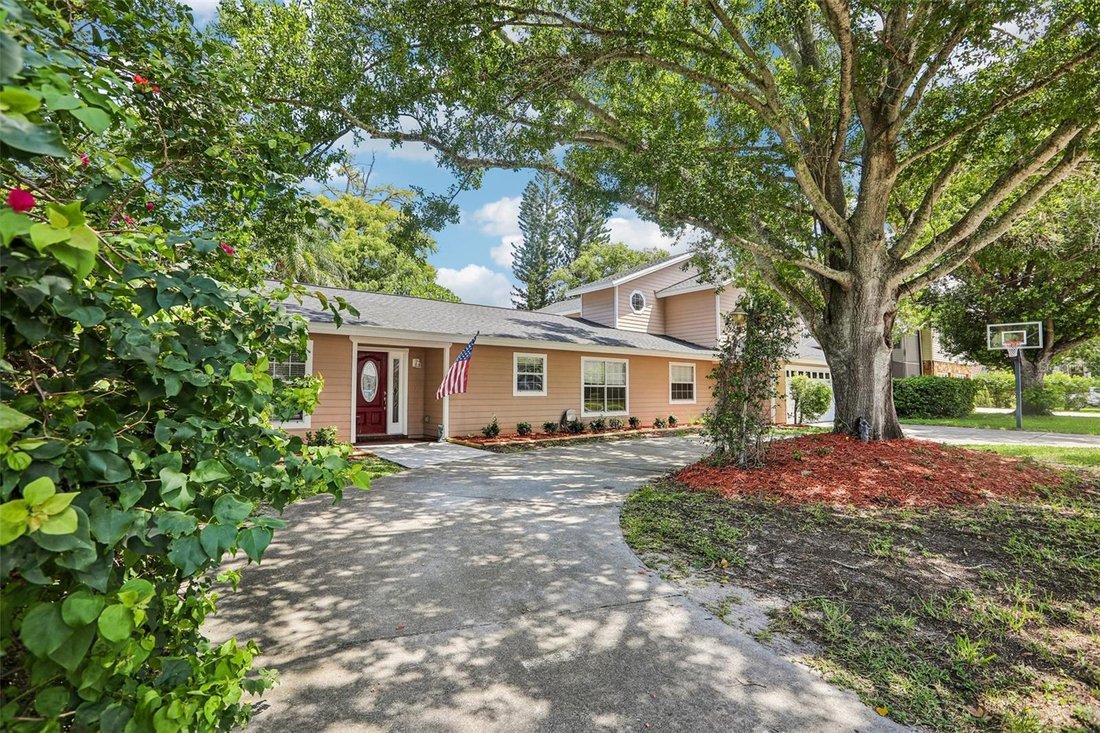House in Palm Harbor, Florida, United States 3 - 18669268