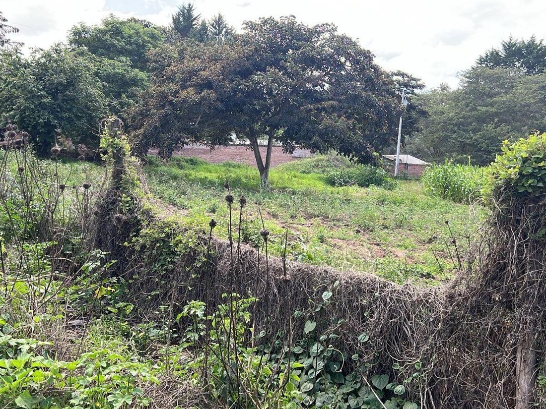 Land in Quito, Pichincha, Ecuador 2 - 18661666