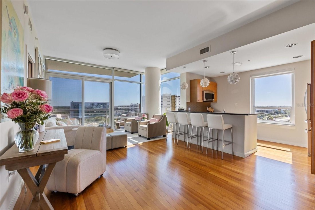 Condo in St. Petersburg, Florida, United States 5 - 18659194