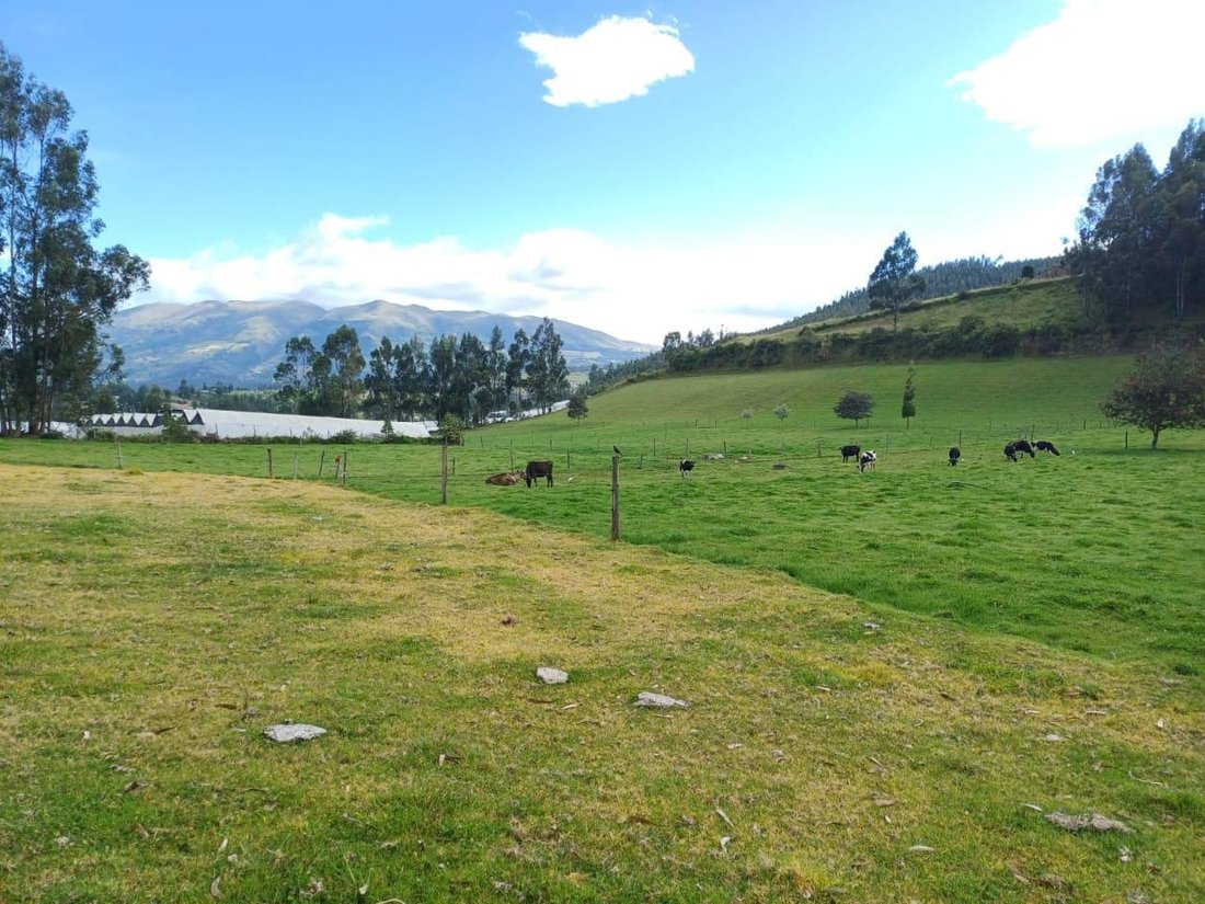Land in Cayambe, Pichincha, Ecuador 4 - 18661534