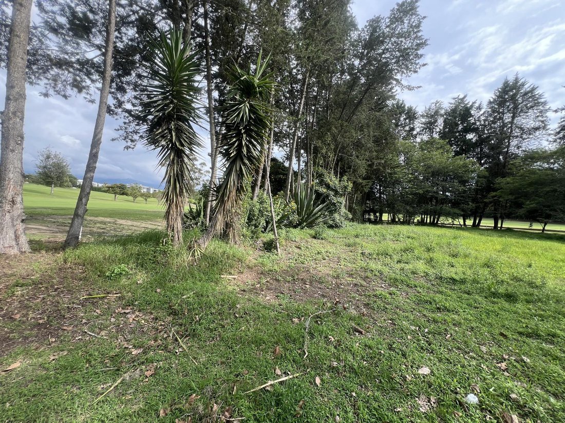 Land in Quito, Pichincha, Ecuador 5 - 18661706