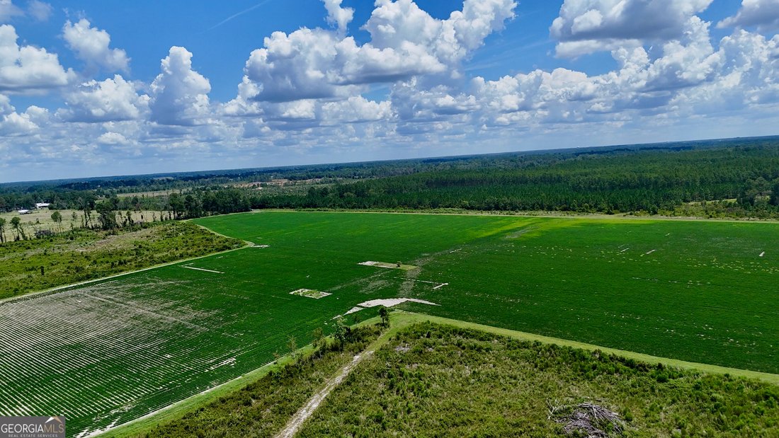Farm Ranch in Alma, Georgia, United States 3 - 18663160