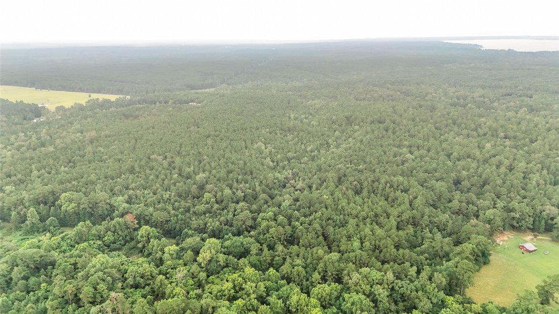 Land in Livingston, Texas, United States 4 - 18659734