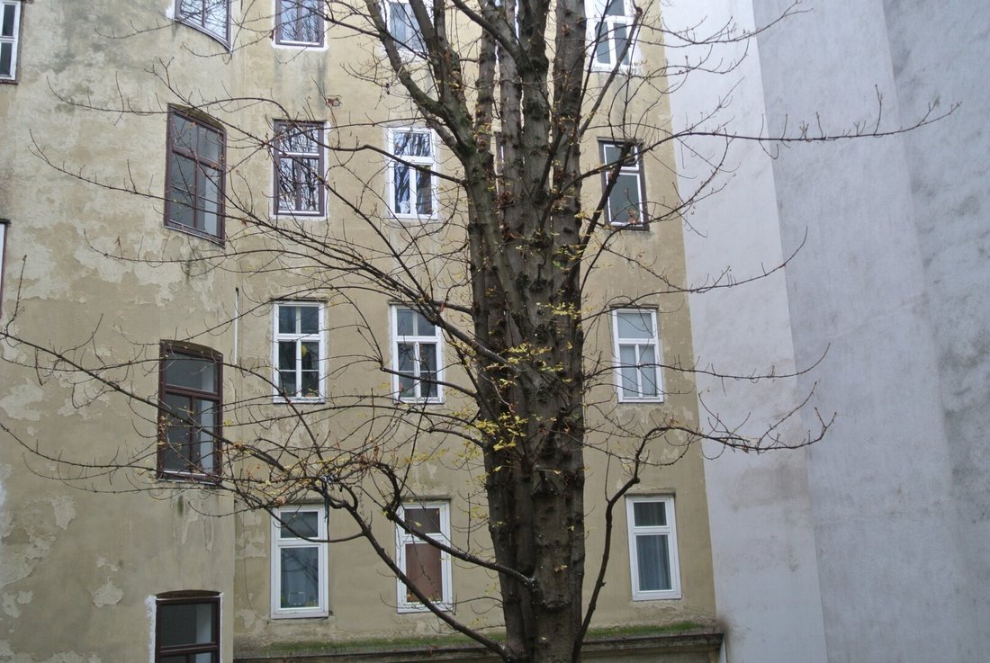 Apartment in Vienna, Wien, Austria 5 - 18671056