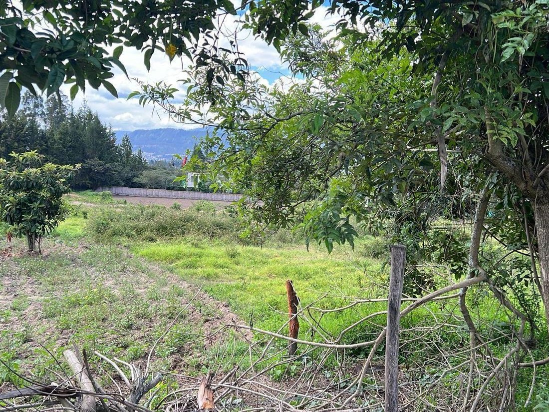Land in Quito, Pichincha, Ecuador 1 - 18661666