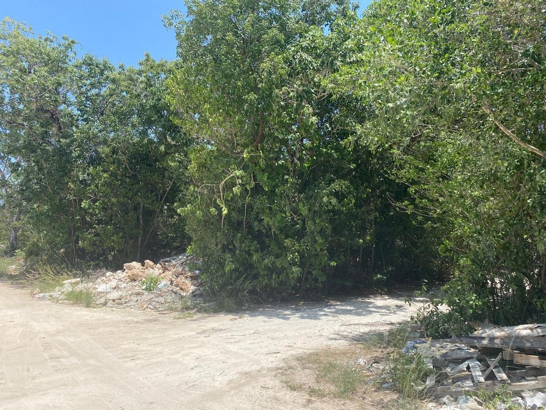 Land in Cancún, Quintana Roo, Mexico 5 - 18660135