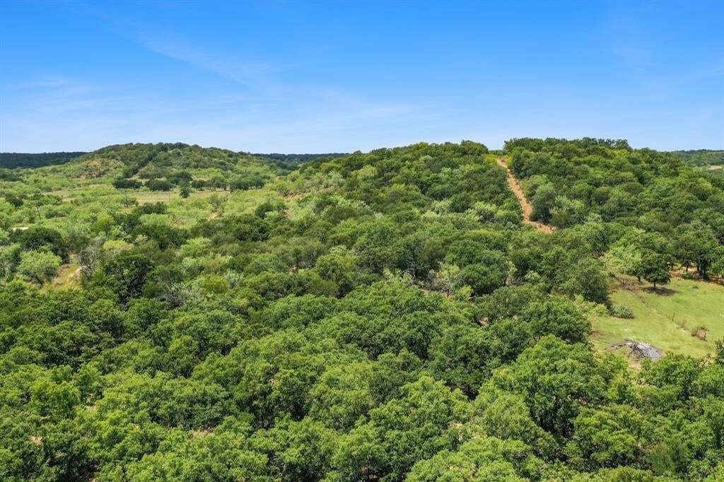 Farm Ranch in Jacksboro, Texas, United States 5 - 18664020