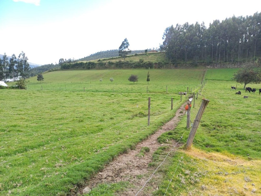 Land in Cayambe, Pichincha, Ecuador 5 - 18661534