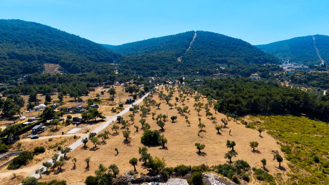 Land in İzmir, İzmir, Turkey 2 - 18669013