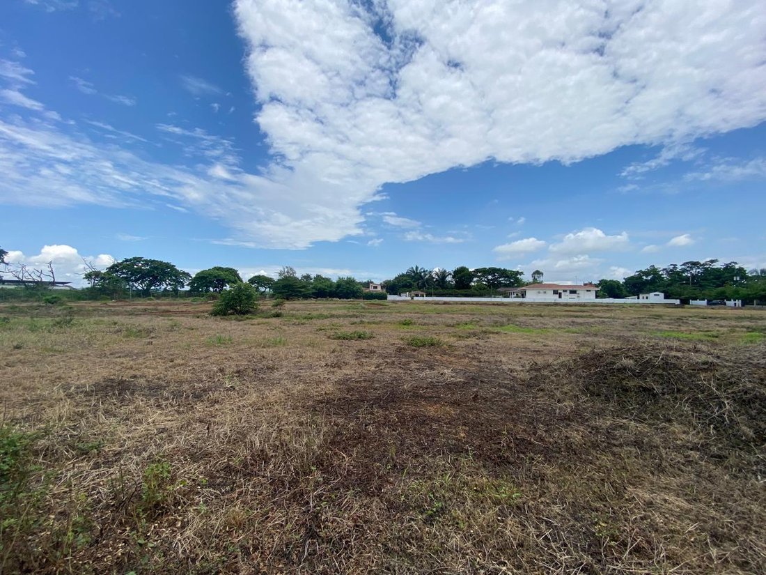 Land in Samborondón, Guayas, Ecuador 1 - 18660763